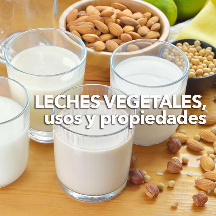 Leches vegetales, sus usos y propiedades