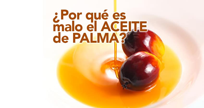 ¿Por qué es malo el aceite de palma?