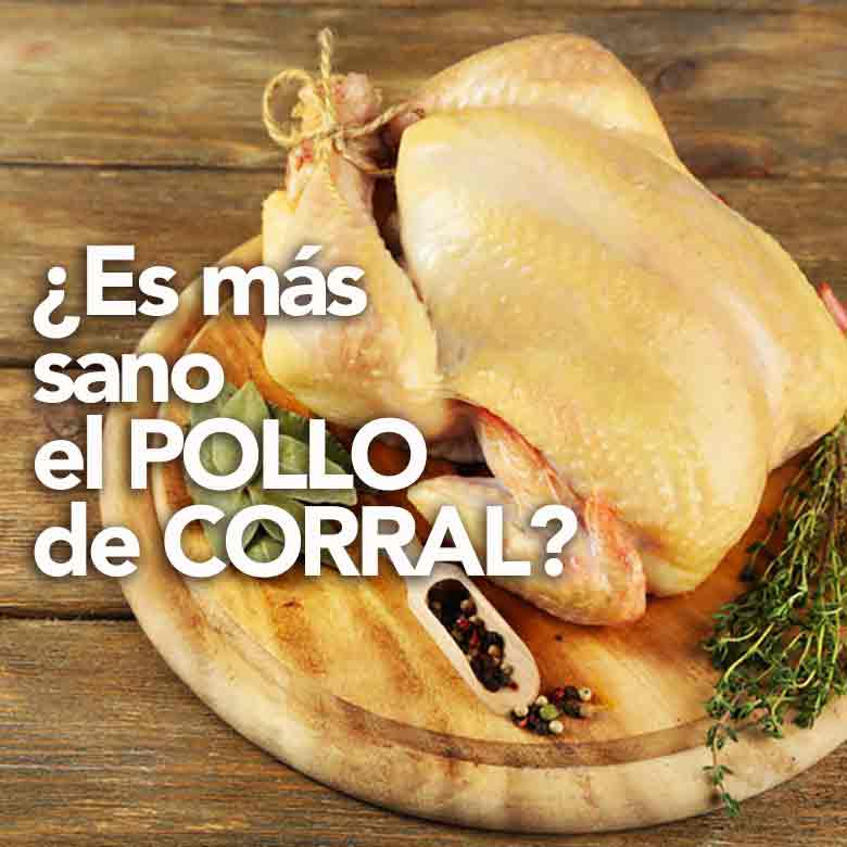 ¿Es más sano el pollo de corral?