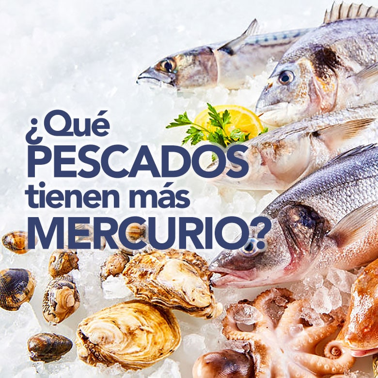 ¿Qué pescados tienen más mercurio?