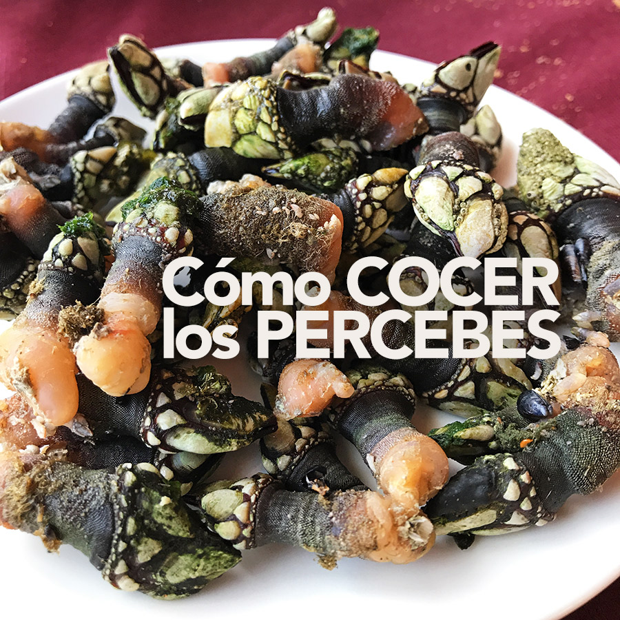 como cocer los percebes