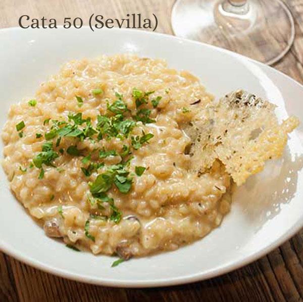 Risotto de boletus