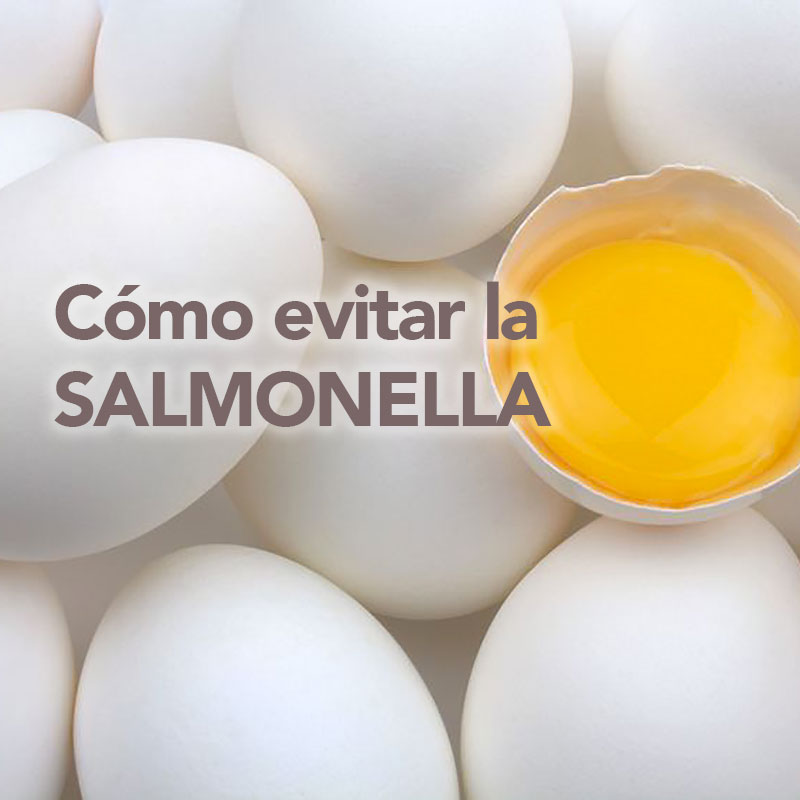 como evitar la salmonella