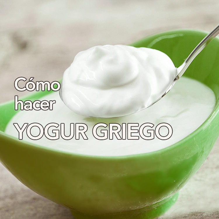 Cómo hacer yogur griego casero sin yogurtera – DIVINA COCINA