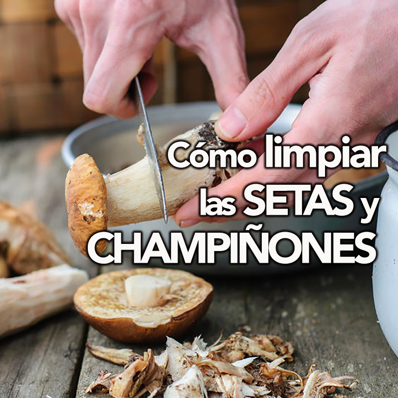 como limpiar las setas y champinones