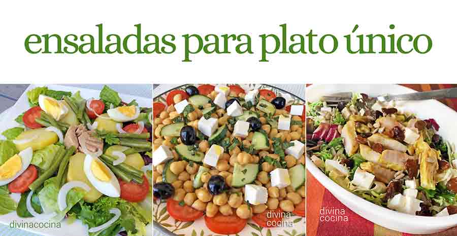 ensaladas-plato-unico