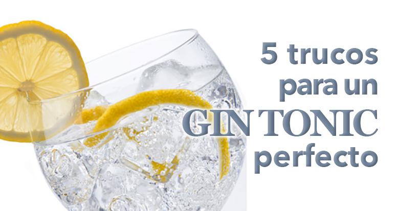 gin tonic perfecto F