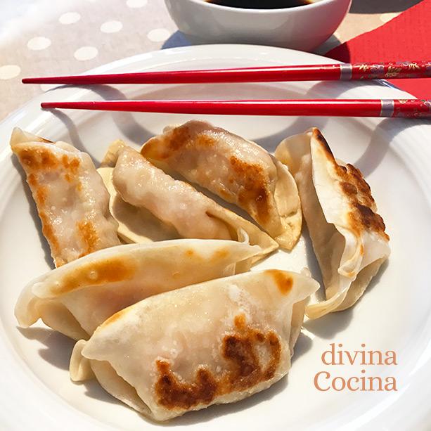 Masa de empanadillas japonesas gyozas