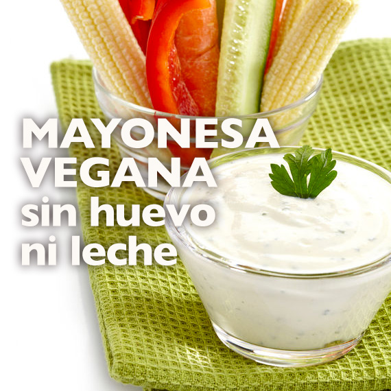 mayonesa vegana sin huevo ni leche