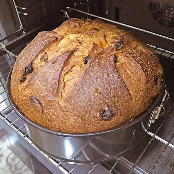 panettone-en-el-horno