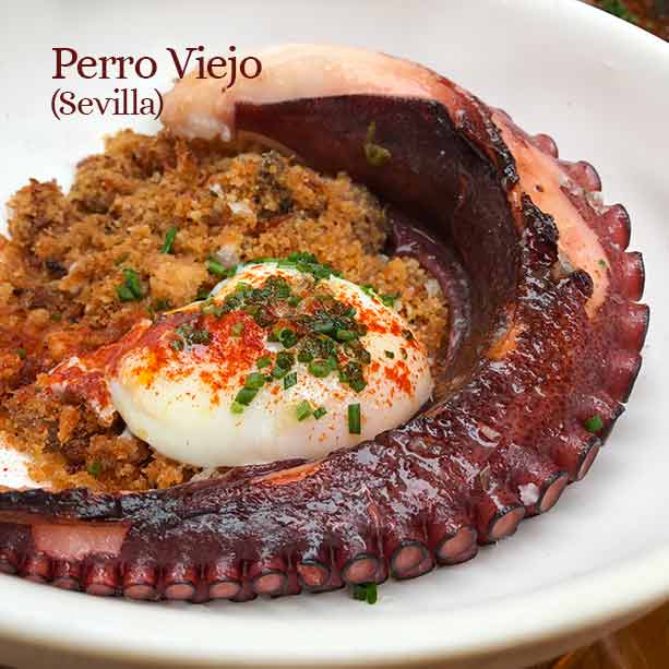 pulpo-brasa-perro-viejo