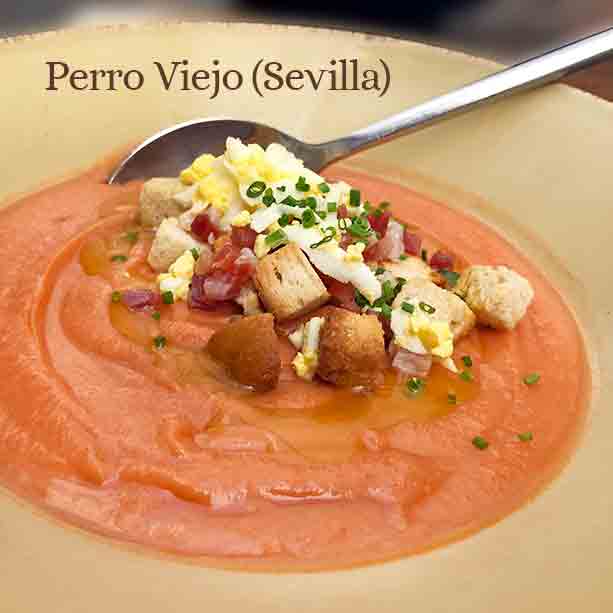 salmorejo-perro-viejo