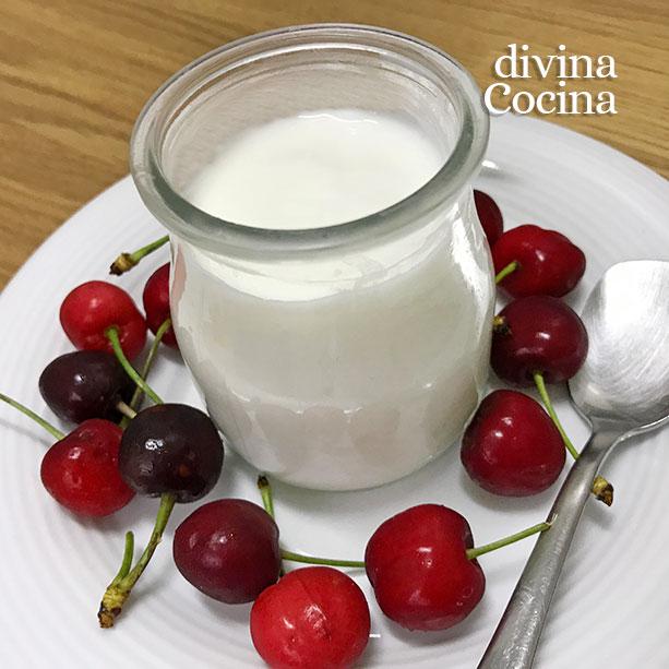 yogur-casero-sin-yogurtera
